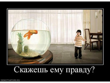 02.02.2010 4:56:22