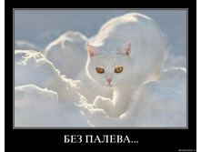 02.02.2010 4:56:38