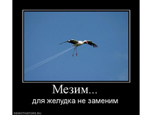 02.02.2010 4:57:41