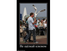 02.02.2010 4:57:52