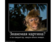 02.02.2010 4:59:36