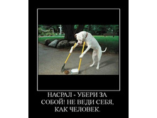 02.02.2010 4:59:46