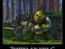 02.02.2010 5:00:34
