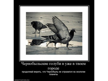 02.02.2010 5:01:00