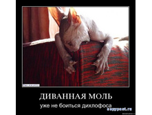 02.02.2010 5:01:28