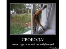 02.02.2010 5:01:48