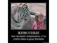 02.02.2010 5:01:53