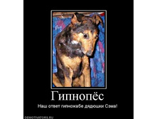 02.02.2010 5:02:03