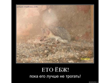 02.02.2010 5:04:08