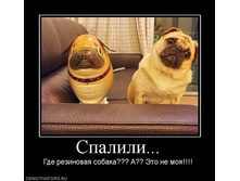 02.02.2010 5:04:34