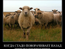 02.02.2010 5:04:39