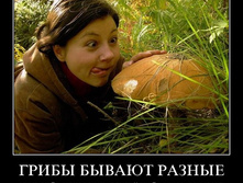 02.02.2010 5:04:55