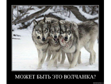 02.02.2010 5:05:14