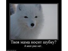 02.02.2010 5:05:34