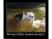 02.02.2010 5:06:05