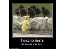02.02.2010 5:06:23