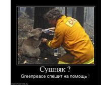 02.02.2010 5:06:54