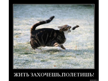 02.02.2010 5:07:10