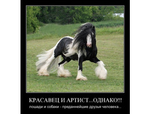 02.02.2010 5:08:12