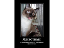 02.02.2010 5:08:43