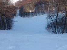 DSC_0369.JPG