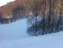 DSC_0372.JPG