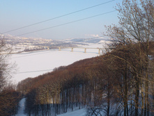DSC_0373.JPG