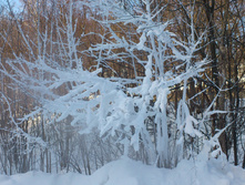 DSC_0374.JPG