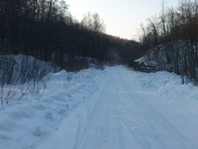 DSC_0375.JPG