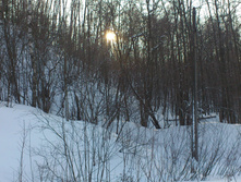 DSC_0376.JPG