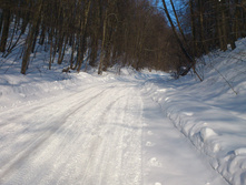 DSC_0377.JPG