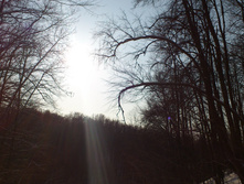 DSC_0380.JPG