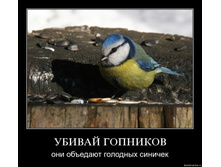 02.02.2010 5:31:03