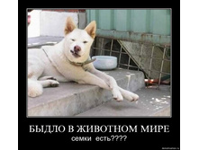 02.02.2010 5:31:12