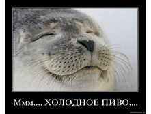 02.02.2010 5:31:14