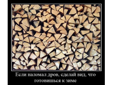 02.02.2010 5:31:51