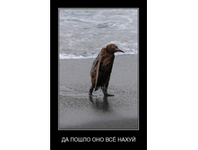 02.02.2010 5:32:38