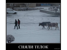 02.02.2010 5:33:04