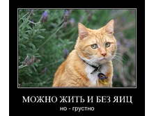 02.02.2010 5:33:38
