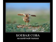 02.02.2010 5:33:44