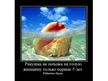 02.02.2010 5:33:47