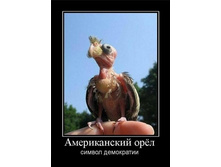 02.02.2010 5:33:50