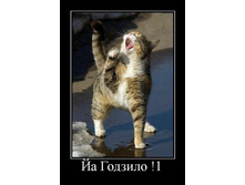 02.02.2010 5:34:12