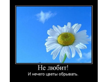 02.02.2010 5:34:13