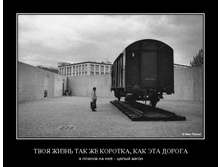 02.02.2010 5:36:31