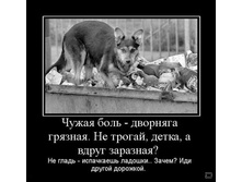 02.02.2010 5:37:11