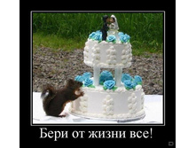 02.02.2010 5:37:17
