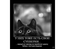 02.02.2010 5:37:29