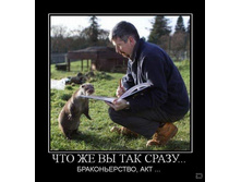 02.02.2010 5:37:32