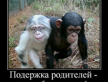 02.02.2010 5:37:38